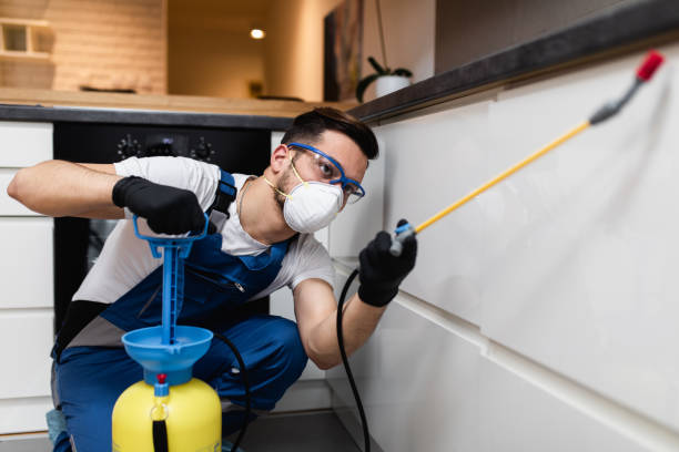Best Pest Inspection Near Me  in Lawrenceburg, KY