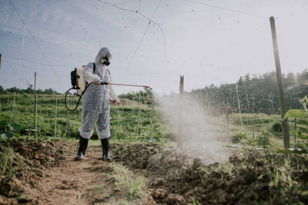 Best Mosquito Control Services  in Lawrenceburg, KY