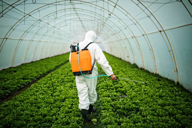 Best Best Pest Control Companies  in Lawrenceburg, KY
