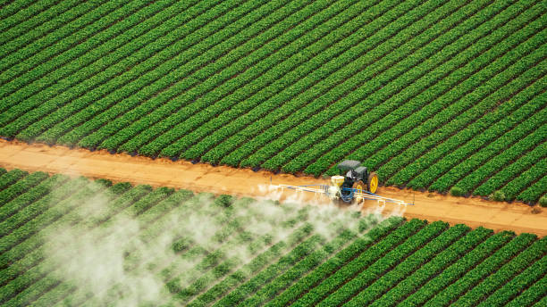 Best Mosquito Control Services  in Lawrenceburg, KY