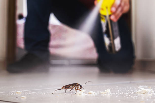 Wasp Removal Services in Lawrenceburg, KY