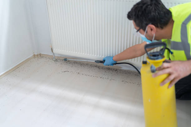Best Wasp Removal Services  in Lawrenceburg, KY