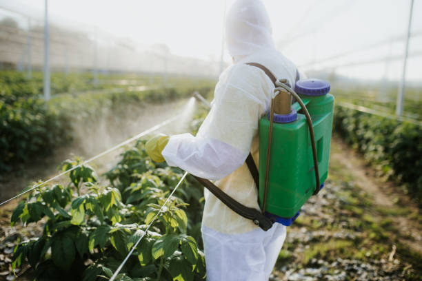 Best Cockroach Control Services  in Lawrenceburg, KY